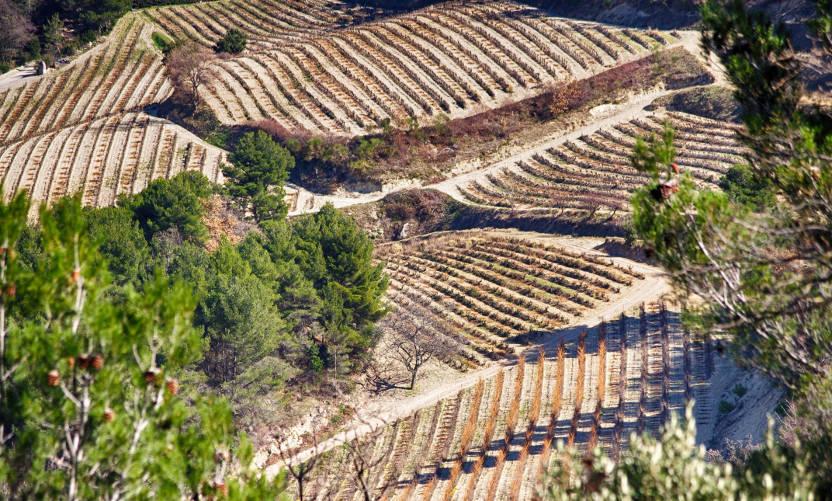 wine safari provence france