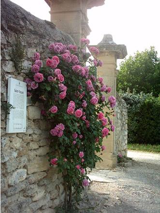The Old Rose Circuit In Grignan Avignon Et Provence The Old Rose Circuit In Grignan Avignon Et Provence
