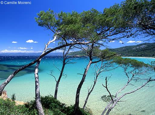 ile de porquerolles tourisme