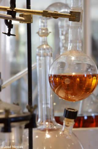 industrie parfum grasse