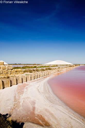 The Saltworks Of Aigues Mortes In The Camargue Avignon Et Provence