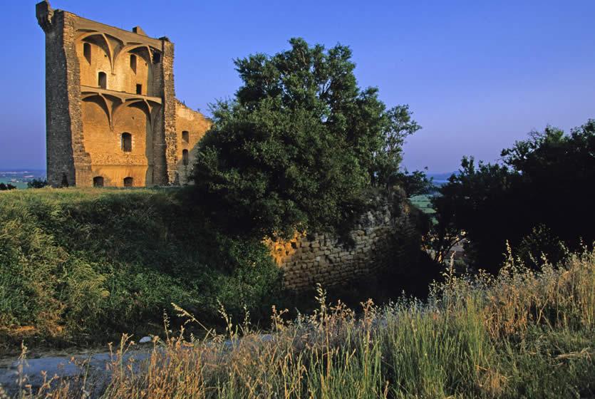 Tourism In Chateauneuf Du Pape Visit Chateauneuf Du Pape Capital Of The Cotes Du Rhone Wines Avignon Et Provence
